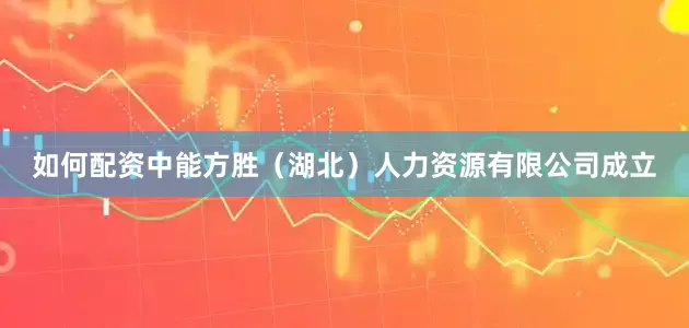 如何配资中能方胜（湖北）人力资源有限公司成立