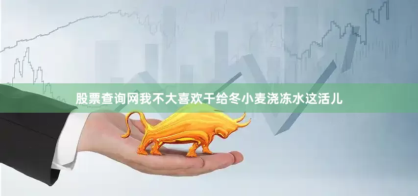 股票查询网我不大喜欢干给冬小麦浇冻水这活儿