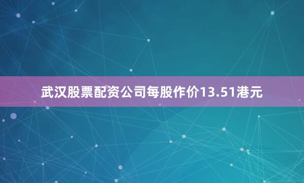 武汉股票配资公司每股作价13.51港元