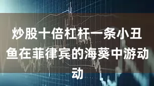 炒股十倍杠杆一条小丑鱼在菲律宾的海葵中游动